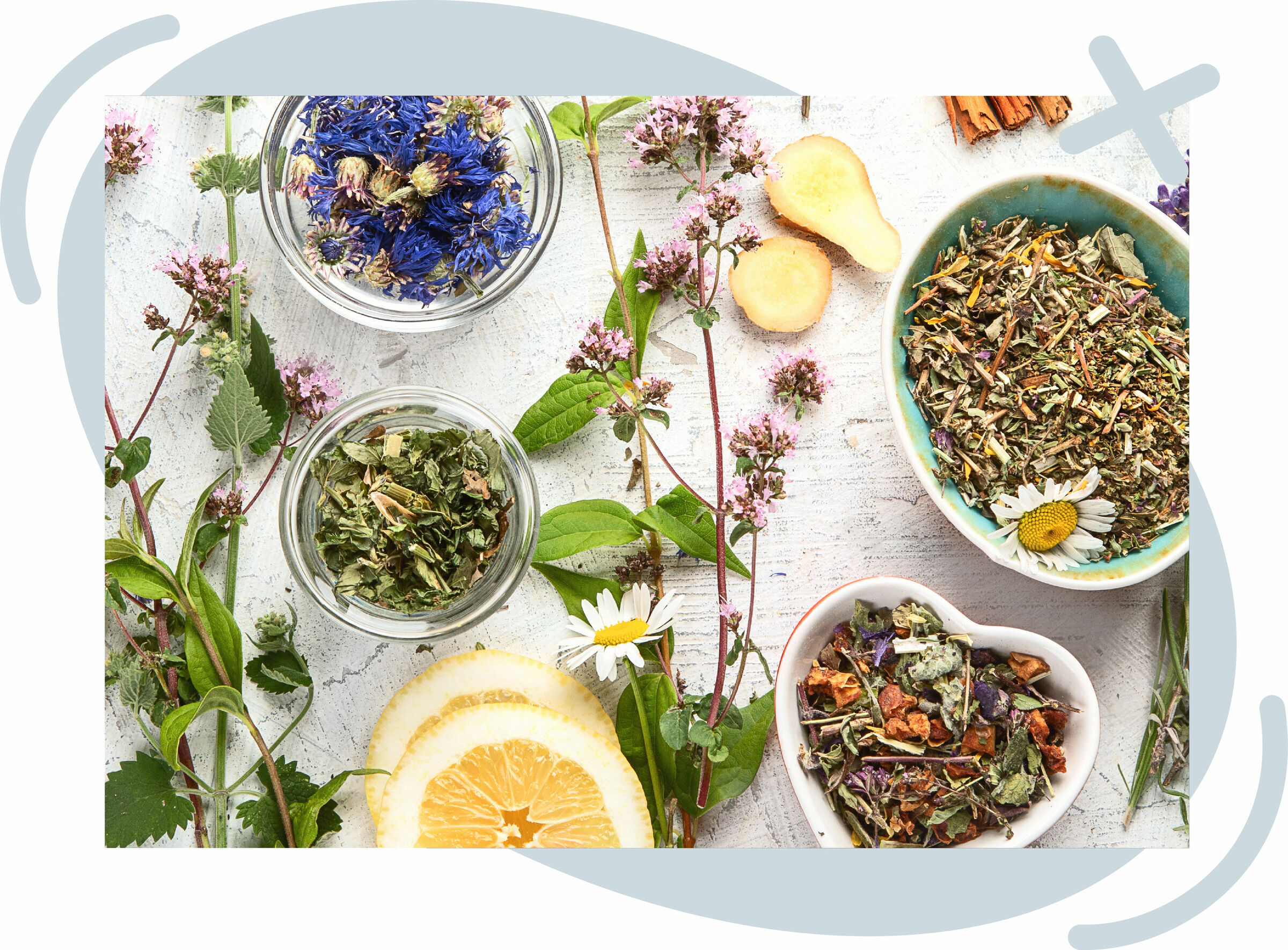 Assorted dried herbs and flowers arranged in small bowls and jars on a light rustic surface, surrounded by fresh sprigs, lemon slices, ginger, and a daisy.