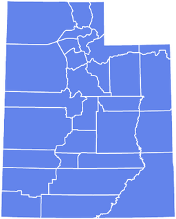 Simplified blue map of a U.S. state with internal county boundaries outlined in white.