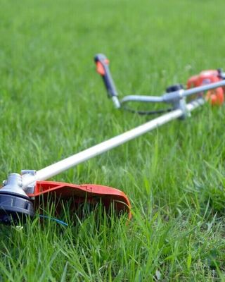 Gas string trimmer lying on green grass in a yard, viewed close to the cutting head with orange guard and blue trimmer line.