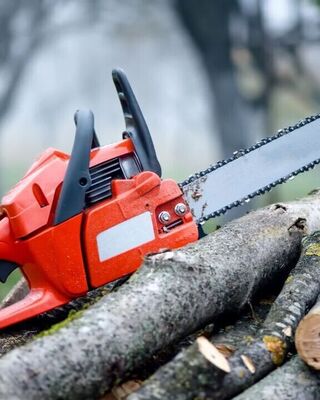 Orange chainsaw resting on a stack of freshly cut logs outdoors.
