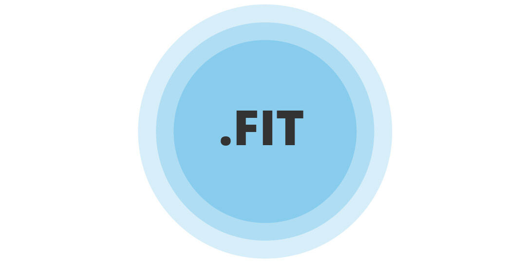 Graphic of a blue circular badge with the text ".FIT" in bold black letters centered inside, surrounded by two lighter blue concentric rings on a white background.