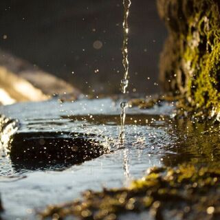 Close-up of water droplets falling into a shallow stream beside moss-covered rock in warm sunlight