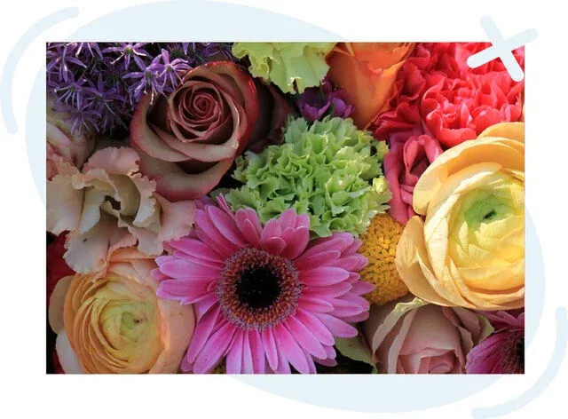 Close-up assortment of colorful fresh flowers tightly arranged.