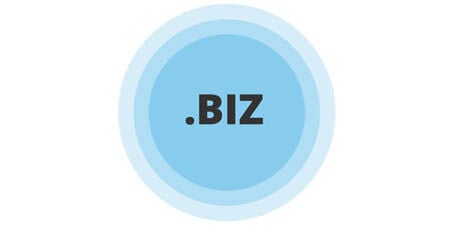 Graphic of a blue circular badge with the text .BIZ in bold dark letters at the center