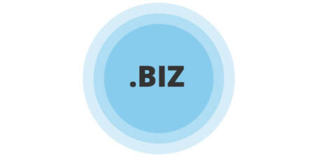 .BIZ text inside concentric blue circles on a white background