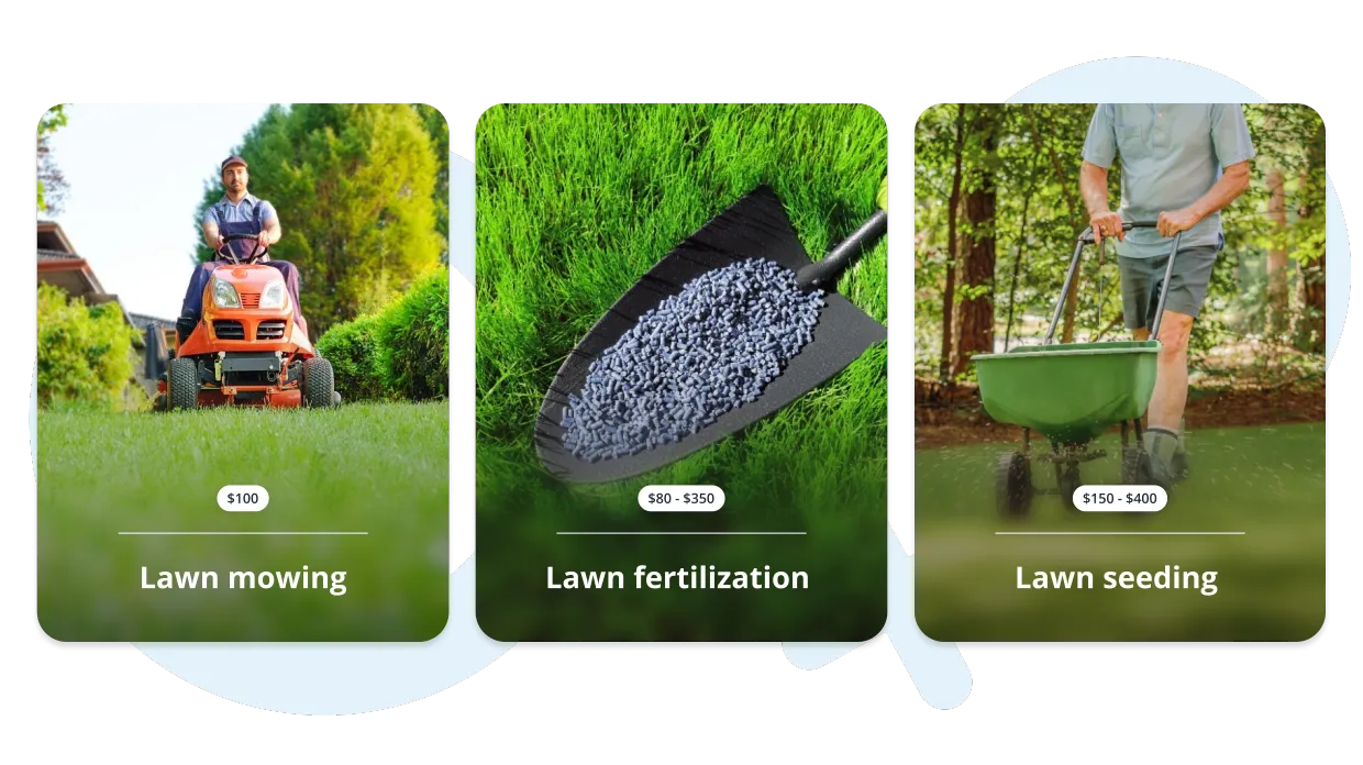 Service cards showcasing business offerings on a professional website created with IKOL AI website generator