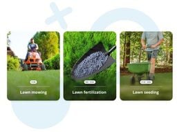 Three lawn care service cards showing lawn mowing, fertilization, and seeding with sample prices.