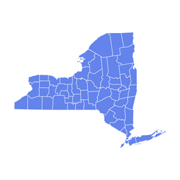 Simplified map of New York State showing county boundaries in blue on a white background.