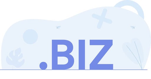 .BIZ text in large blue letters on a light abstract background