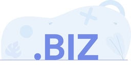 .BIZ text in large blue letters on a light abstract background