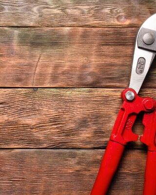 Red-handled bolt cutters on a rustic wooden surface, positioned on the right side with ample negative space to the left.
