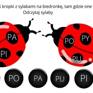 Educational graphic with two red ladybugs used for a Polish syllable-matching activity, showing syllables PE, PA, PI on the left bug and PO, PY, PU on the right, with movable black dots labeled PE, PO, PA, PU, PI, PY below.