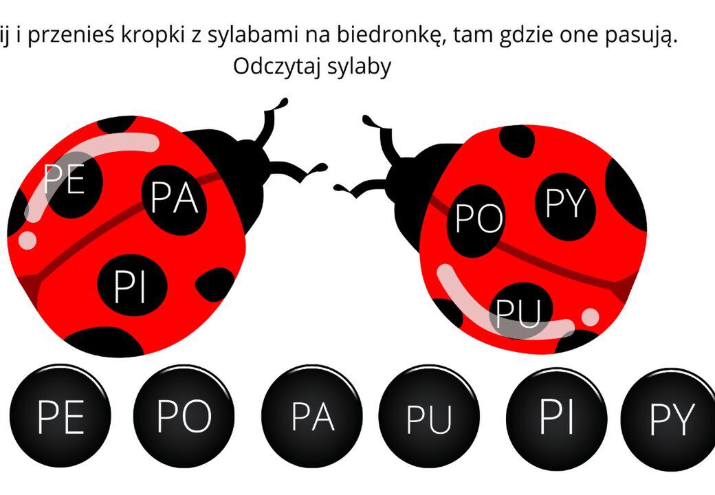 Educational graphic with two red ladybugs used for a Polish syllable-matching activity, showing syllables PE, PA, PI on the left bug and PO, PY, PU on the right, with movable black dots labeled PE, PO, PA, PU, PI, PY below.