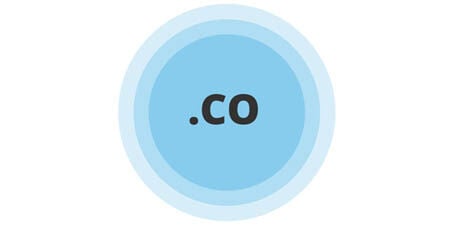 .co domain icon with concentric light blue circles