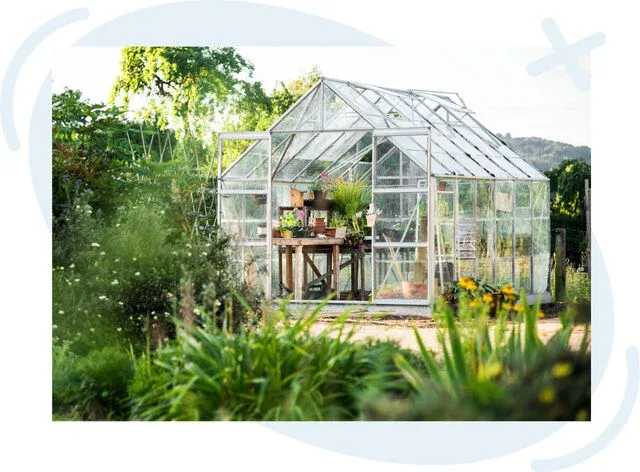 Sunlit greenhouse surrounded by lush garden plants with a worktable and potted greenery inside.